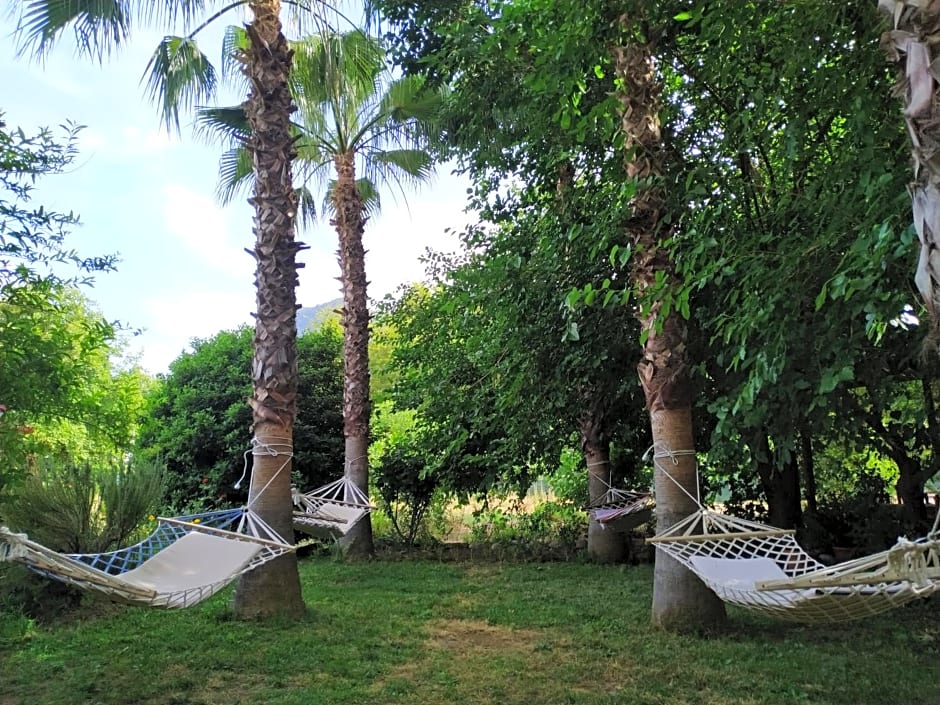 Olympos Yavuz Hotel