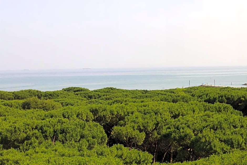 Eraclea Palace Hotel 4 stelle S