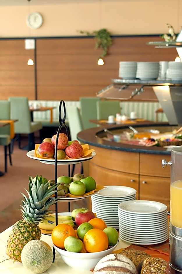 Hansa Apart-Hotel Regensburg