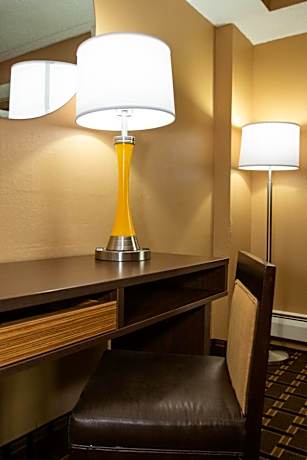 1 King Bed Non-Smoking