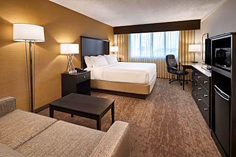 Standard King Room with Sofa Bed