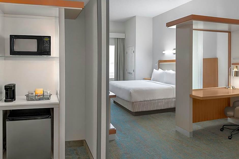 SpringHill Suites by Marriott Detroit Auburn Hills