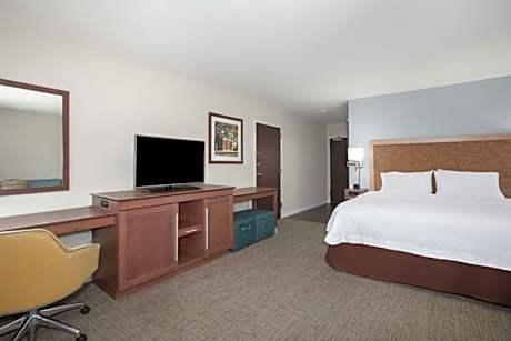 King Room with Roll-In Shower - Mobility Access/Non-Smoking