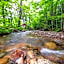 Cranmore Mountain Lodge Bed & Breakfast