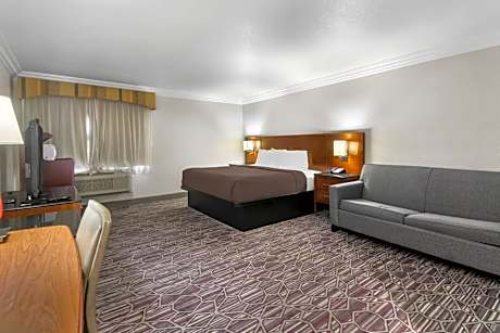 King Room with Roll-In Shower - Disability Access