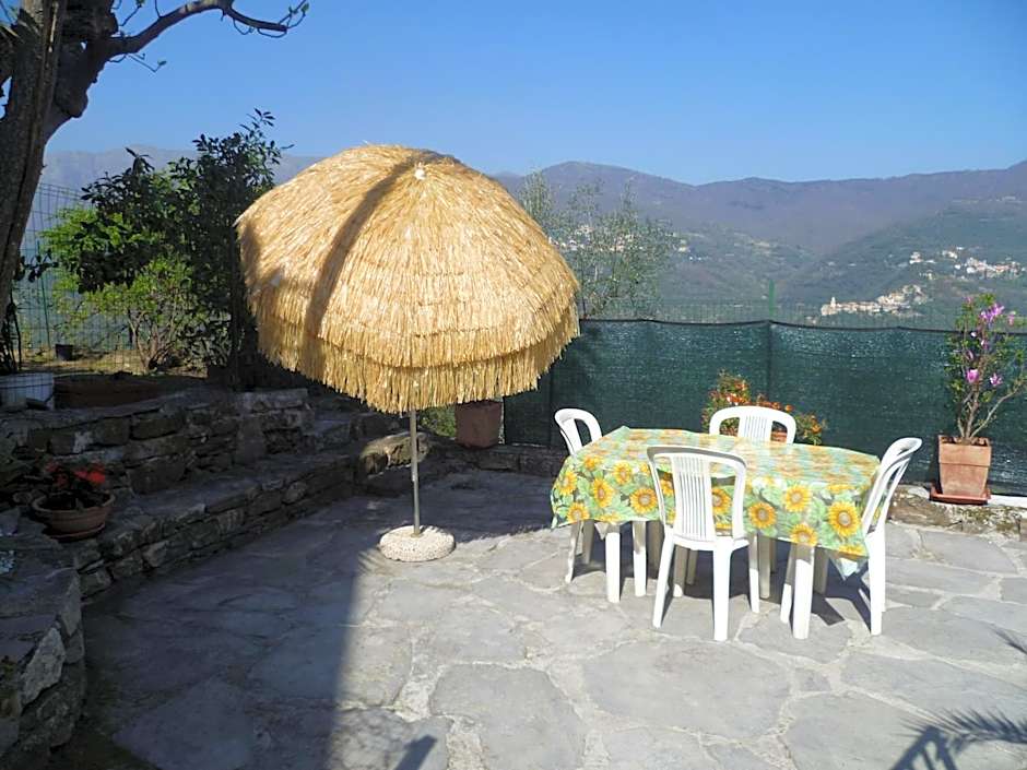 Agriturismo IL POGGIO DI VASIA CITR00864-AGR-0001