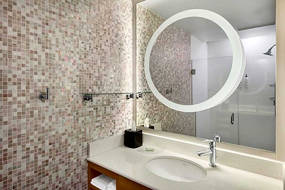 SpringHill Suites by Marriott Detroit Metro Airport Romulus