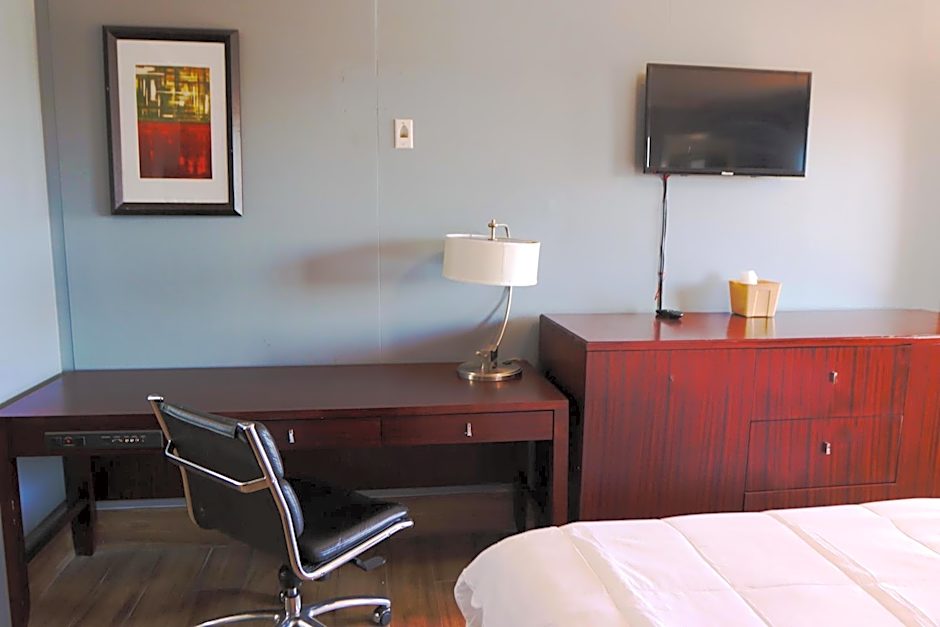 Studio Suites