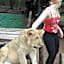 Jikeleza International Backpacker Lodge