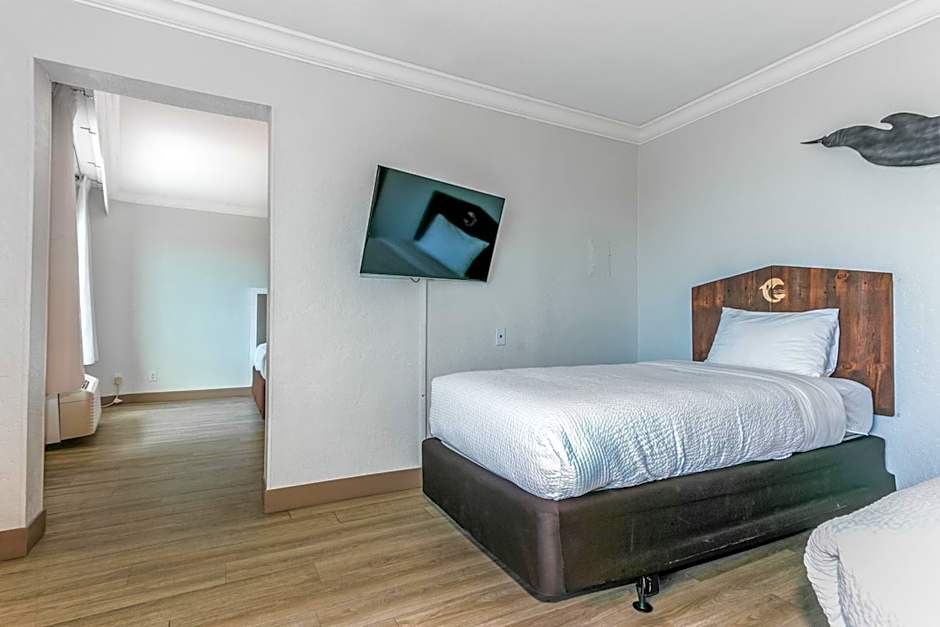 Winter the Dolphin's Beach Club, Ascend Hotel Collection