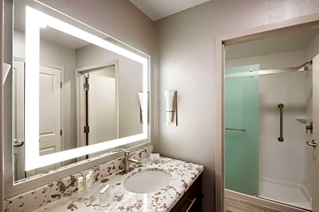 2Queen Hearing Accessible Suite Nonsmoking