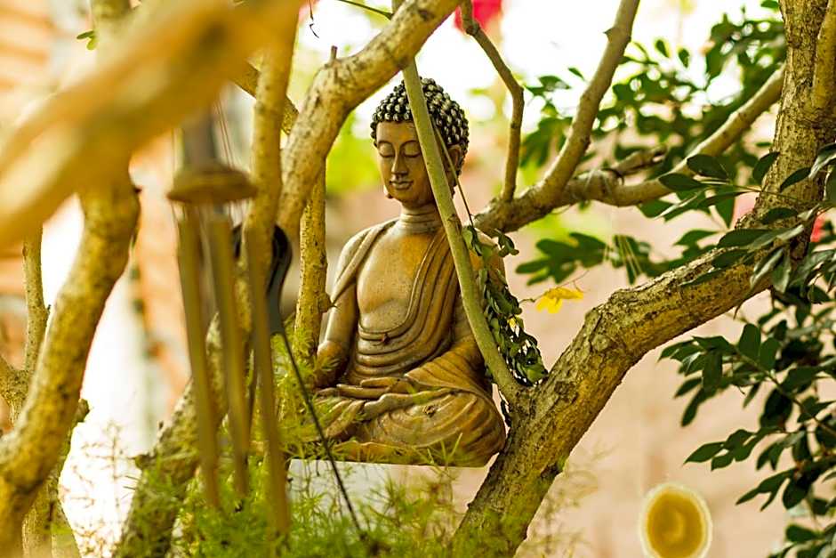 Buddy's Hostel & Pousada Alto Paraiso