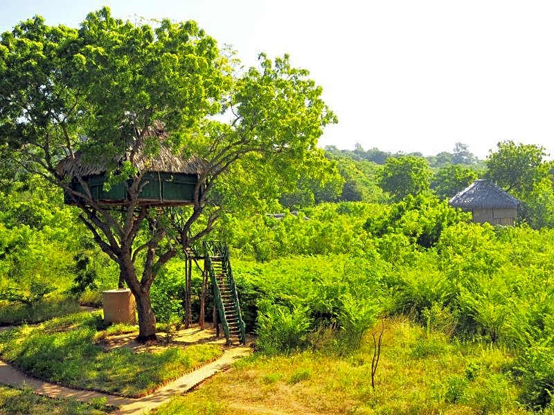 Photo 1 of 50 of Beddegama Eco