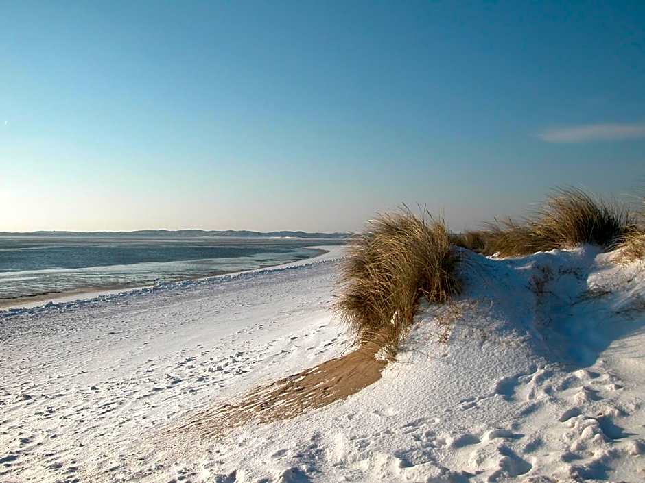 Interferie Dąbki SU Argentyt