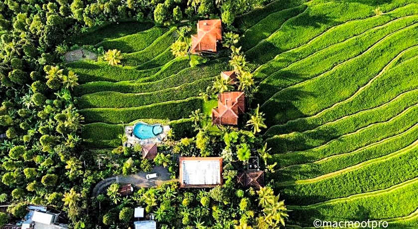 Lesong Hotel and Restaurant