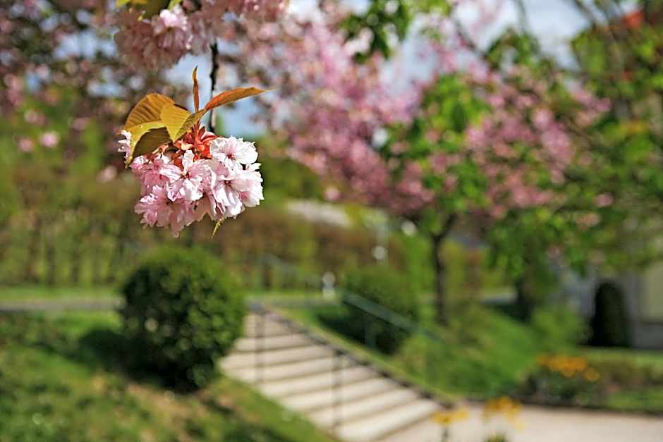 Badhotel Bad Brückenau