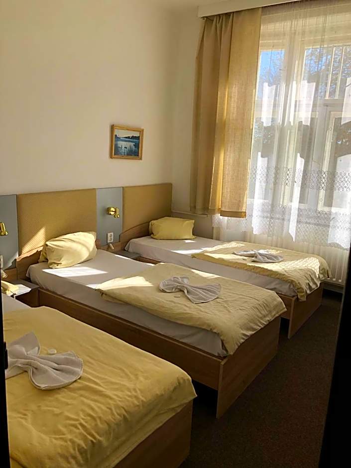 Hotel Piast