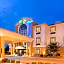 Holiday Inn Express Hotel & Suites Mount Pleasant