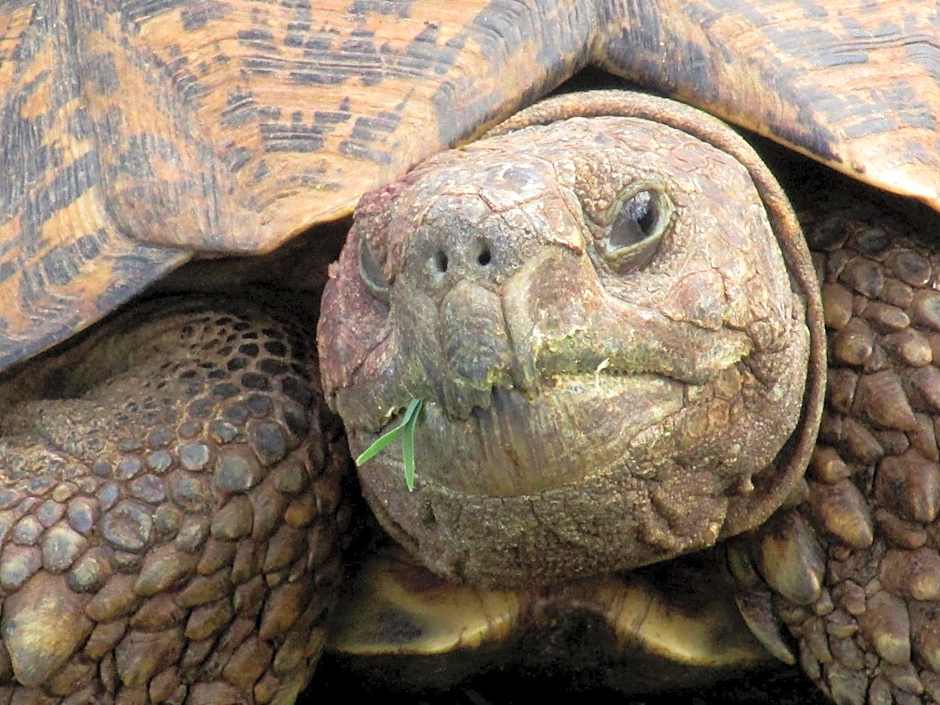 Valley Bushveld Country Lodge