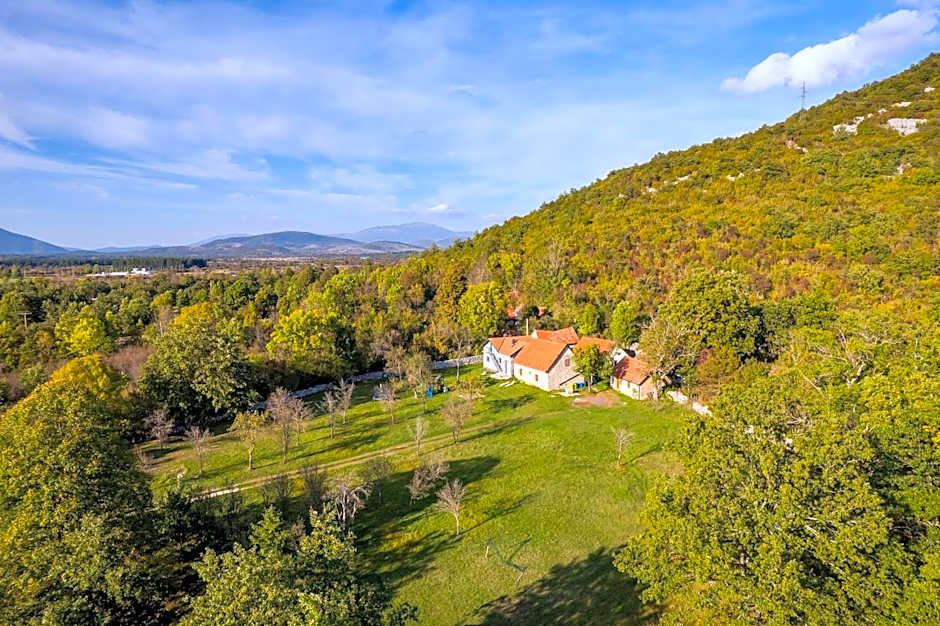 SOKOL - Secret forest house