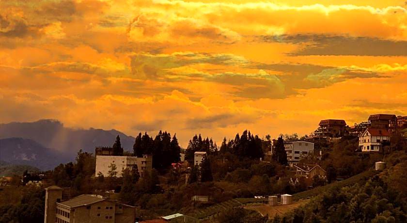 Flower and Star Garden Bed and Breakfast