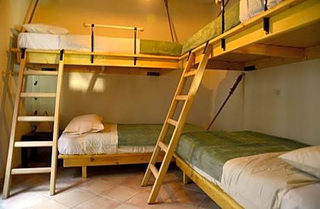 Bed in 4-Bed Mixed Dormitory Room