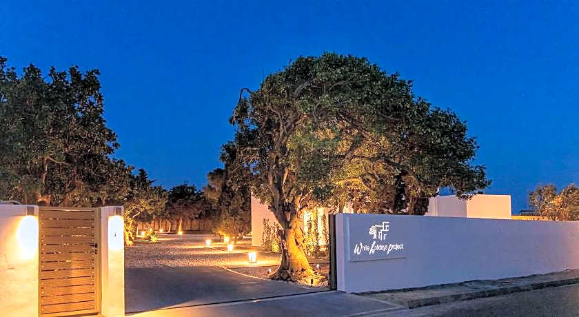 White Holidays Project