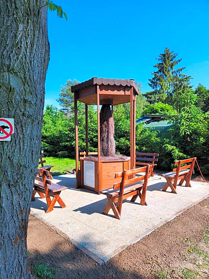 Natura Park w Stegnie