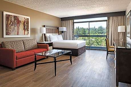 1 King Bed Studio Suite
