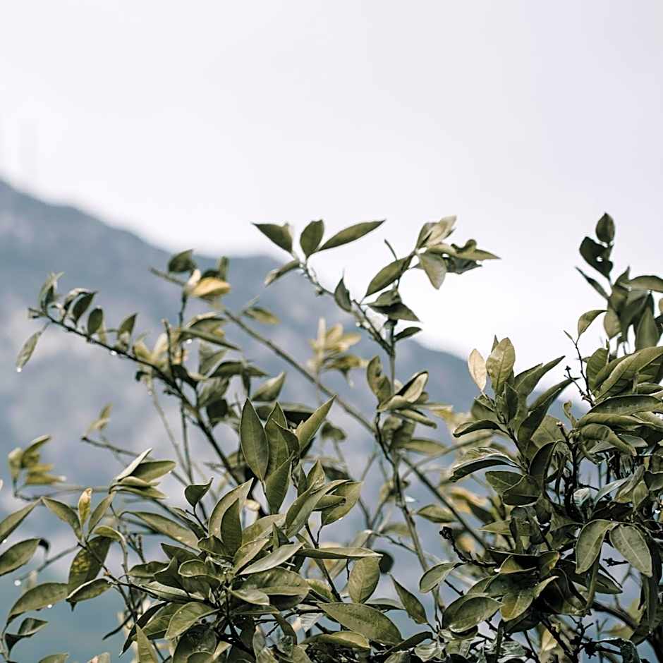 Balèze Boutique Hotel - Adults Only