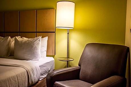 Queen Studio Suite