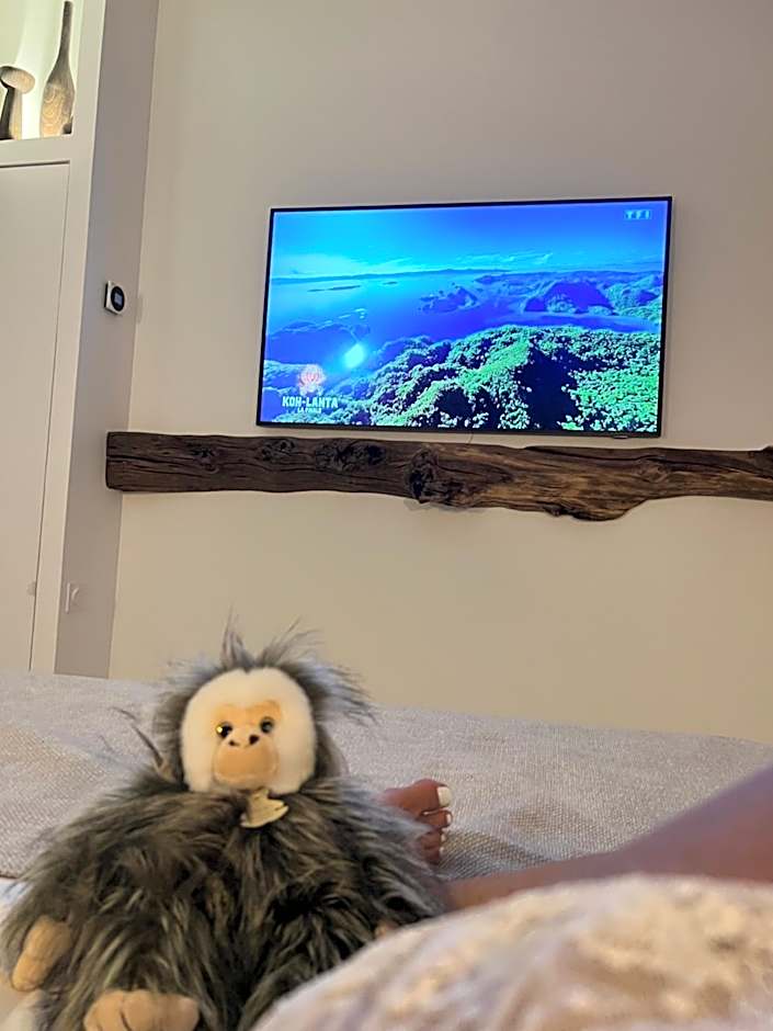 Tamarin & Capucin Suite Balnéo