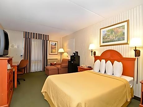 1 Bedroom Suite