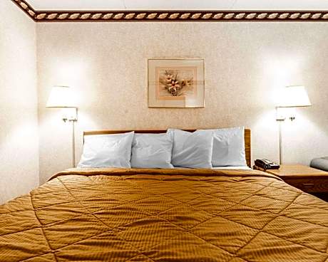 1 King Bed Nonsmoking