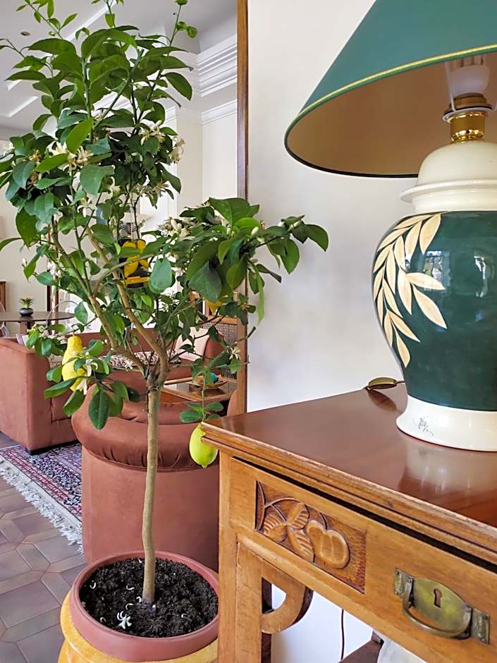 Hotel Delle Ortensie