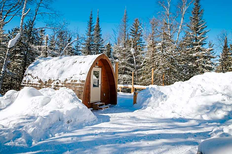 Entre Lemoine et l'arbre