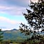 Franklin Terrace Bed and Breakfast