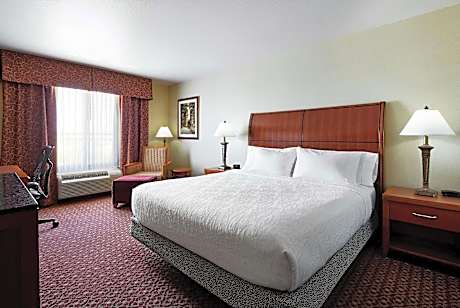 1 King Bed Non-Smoking