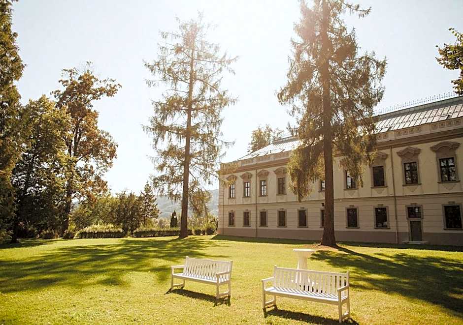 Hotel Gino Park Palace - Kaštieľ Orlové