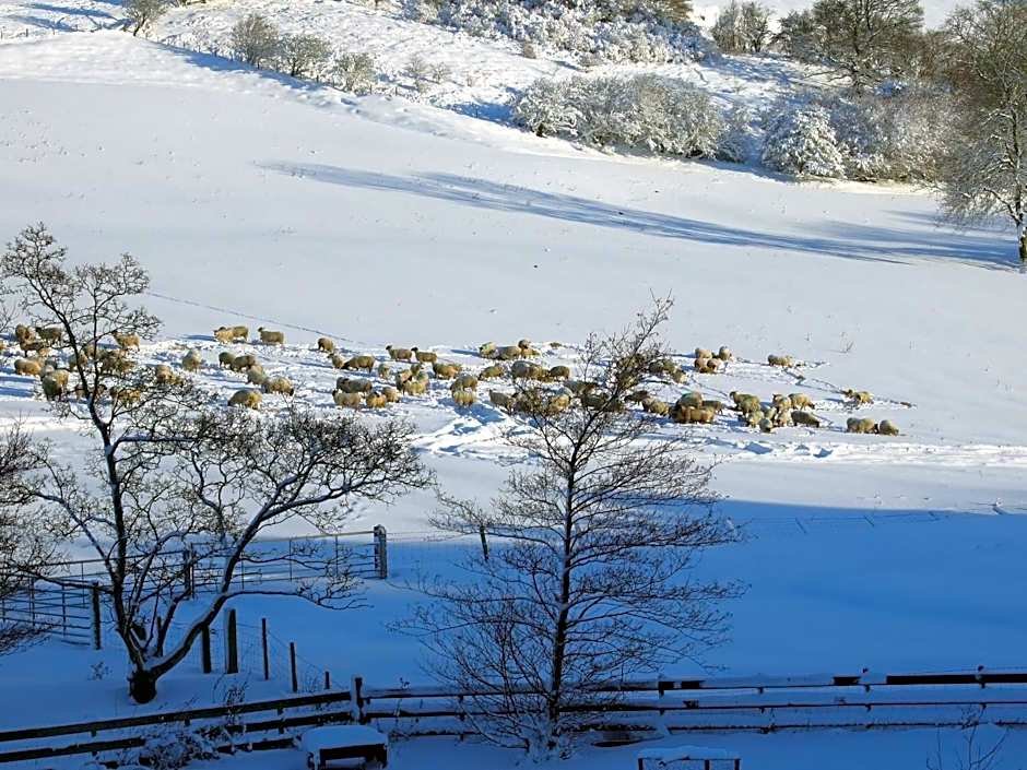 Llew Coch B&B formerly The Red Lion inn