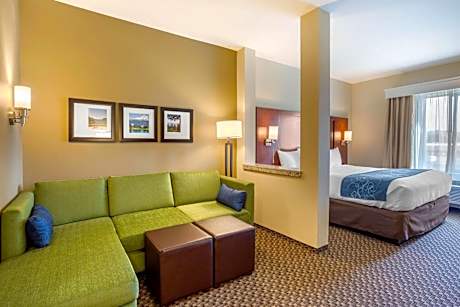 Comfort Suites Burlington near I-5