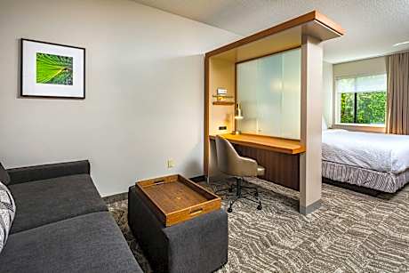 King Suite with Roll-In Shower and Trundle Sofa - Mobility Access/Hearing Accessible