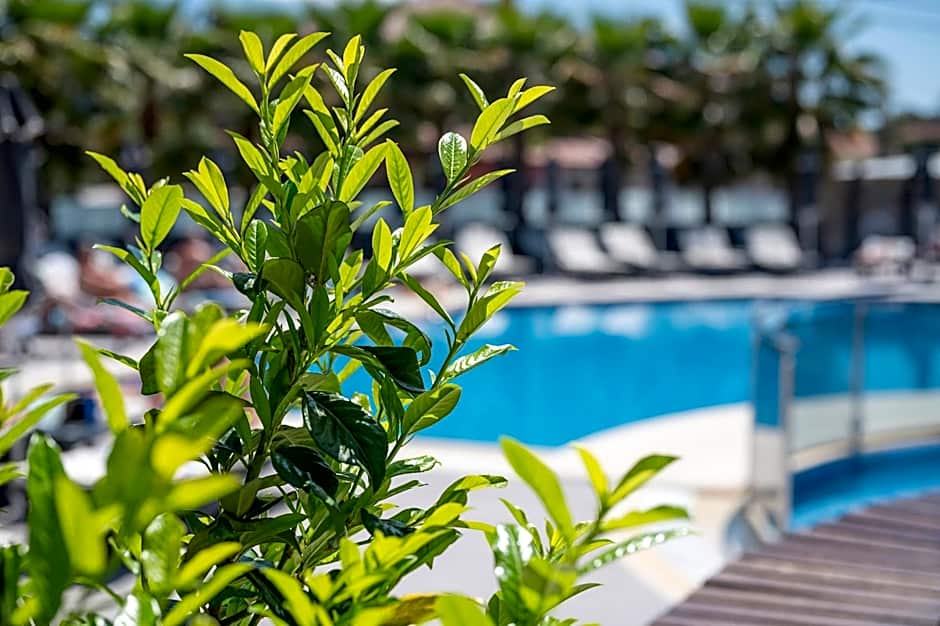 Dionysos Hotel & Suites