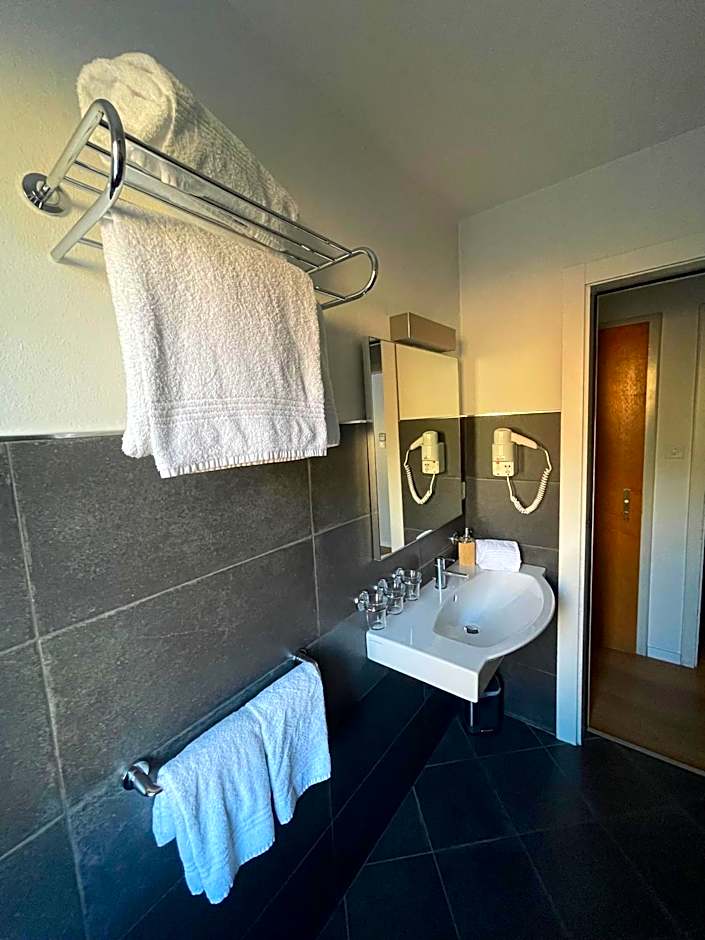 Hotel Europe Brig