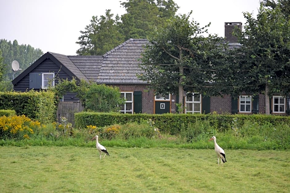 Het Steenuiltje