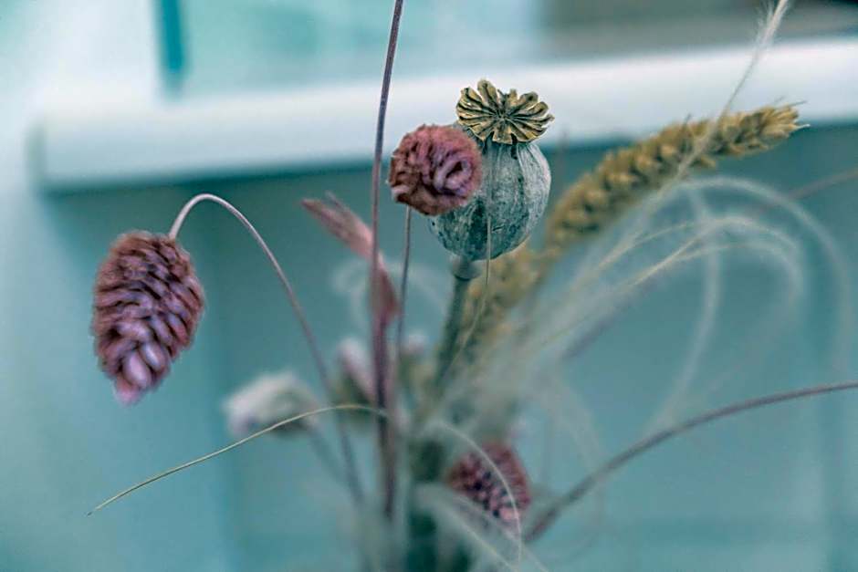 Logis hôtel et restaurant La Bastide Cabezac