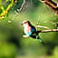 Morokolo Safari Lodge Self-catering