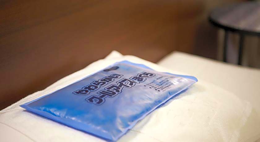 Sotetsu Fresa Inn Ginza-Sanchome