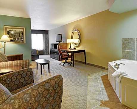 1 King Bed, Suite, Nonsmoking