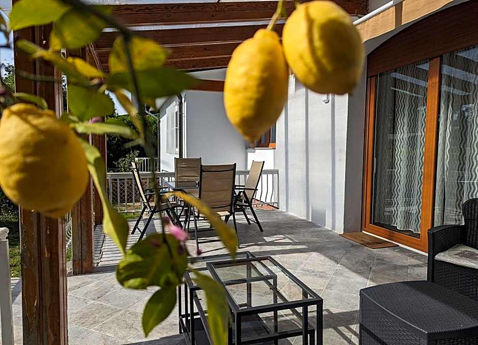 Villa Degli Ulivi